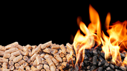 Brennende Holzpellets (Bild: istock)