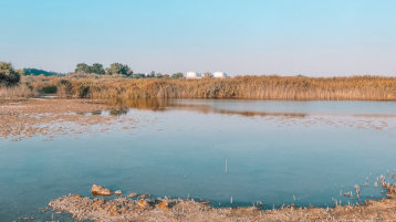 Landschaft mit Wasser und Getreide, im Hintergrund Getreidesilos (Image: Makaty 445246162 AdobeStock)